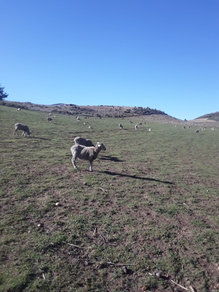 Commercial Property for Sale in Avontuur Western Cape